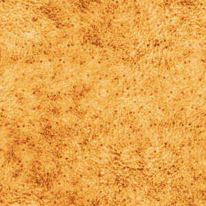 background sample t212