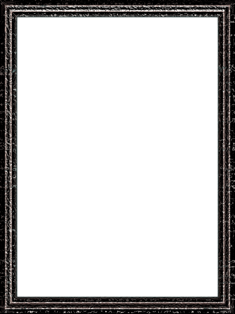 frame 1