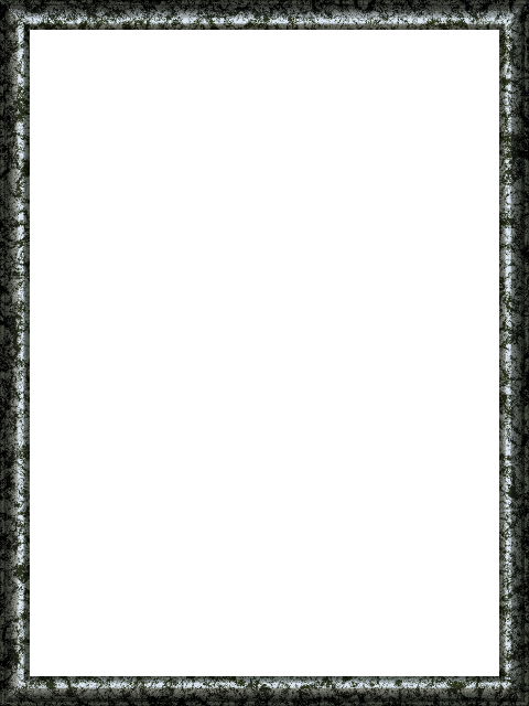 frame 2