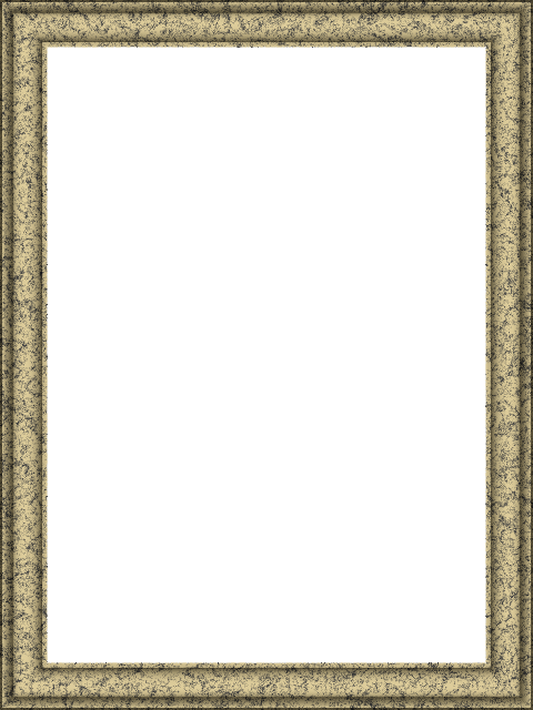 frame 35