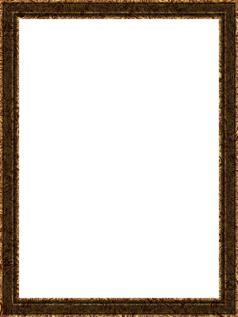 frame 38