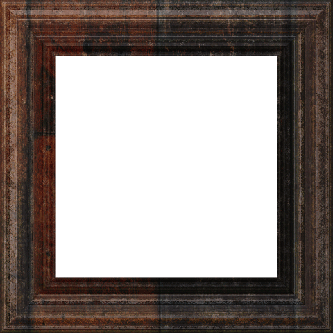 frame 51