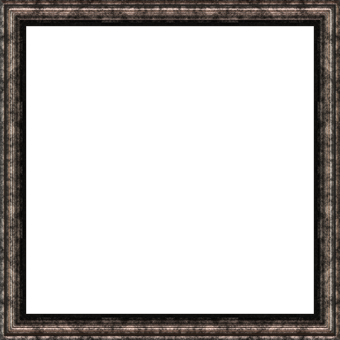frame 55