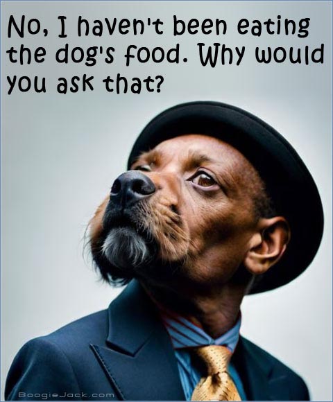 meme sample 4