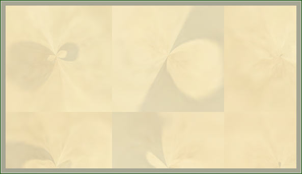 content-box 66