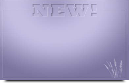 new look box 6
