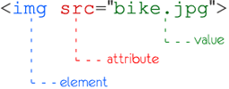 image depicting an html attribute and value