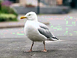 old man