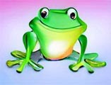 happy frog