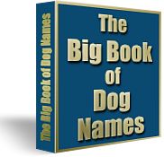 Big Book of Dog Names